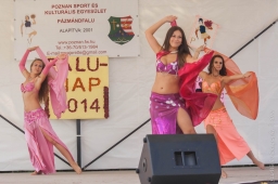 falunap2014_12_20180901
